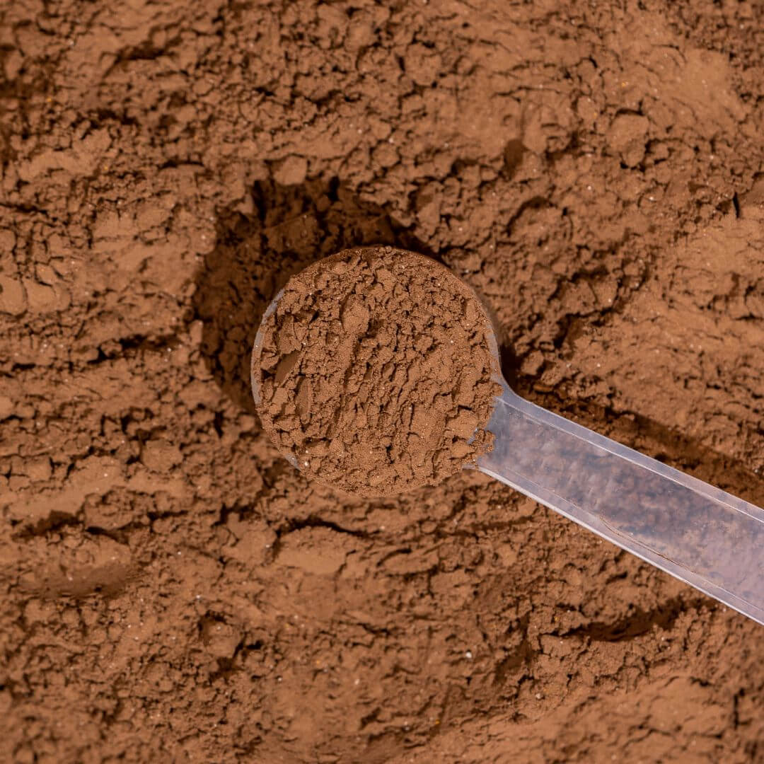 Bild vom braunen Focus+ Pulver mit vollem Messlöffel aus Plastik.