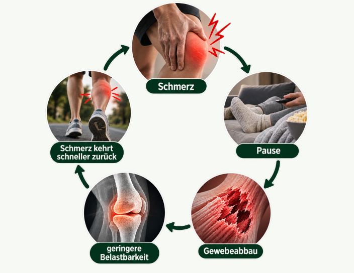 Kreislauf aus Schmerz, Pause und Gewebeabbau (Diagramm)